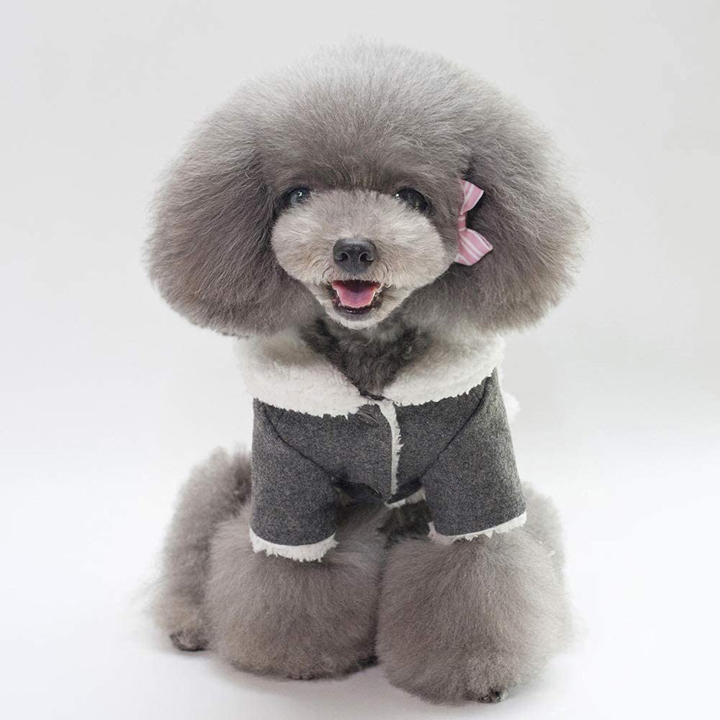 Dark Winter Dog Coat by Doggy Doo Little-2